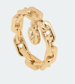 Anekke Anillo Con Medalla Dorado | Joyería